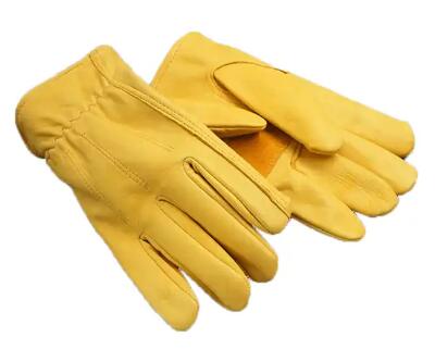 hand glove